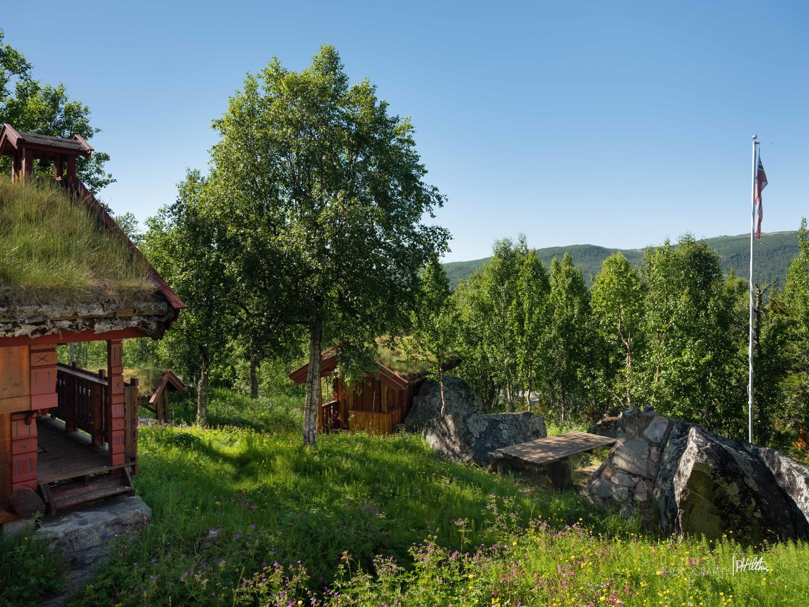 Tunet består av hytte, anneks, uthus og grillplass Galleribilde