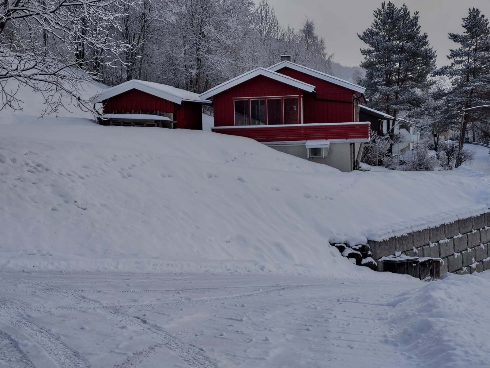 Foto selger. Galleribilde