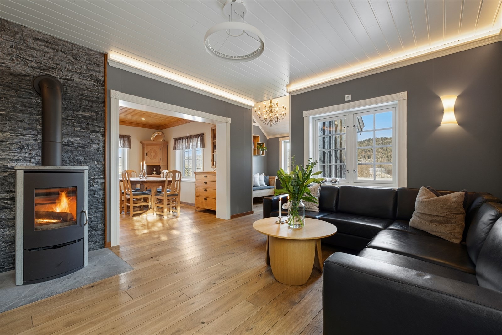 Stuen er et lunt samlingspunkt med en sentralt plassert peisovn for varme og hygge. Galleribilde