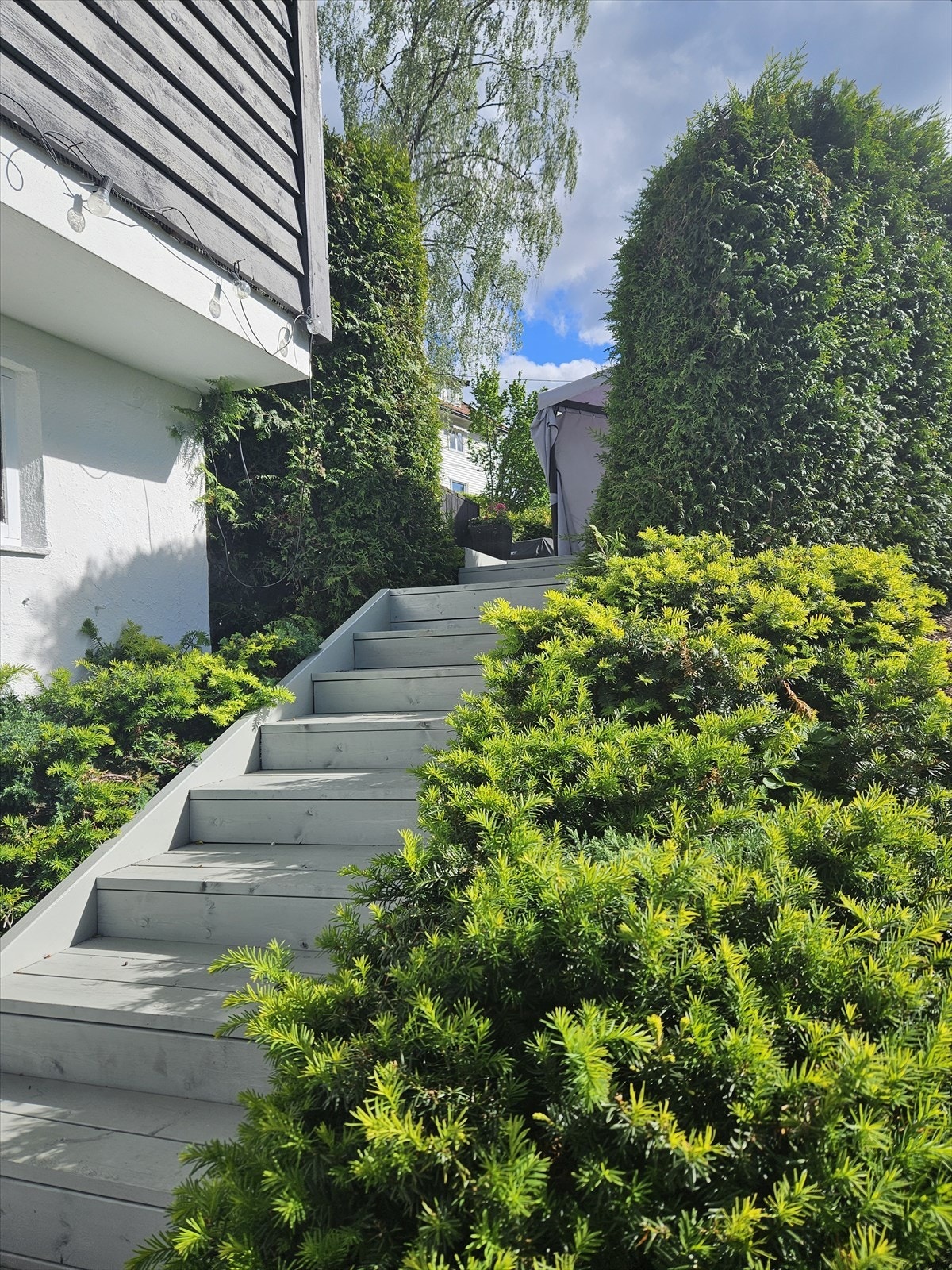 Bildene gir et godt inntrykk av hvordan hagen oppleves i sommerhalvåret - et innbydende uteområde med plass til både avslapning, lek og sosiale sammenkomster. Galleribilde