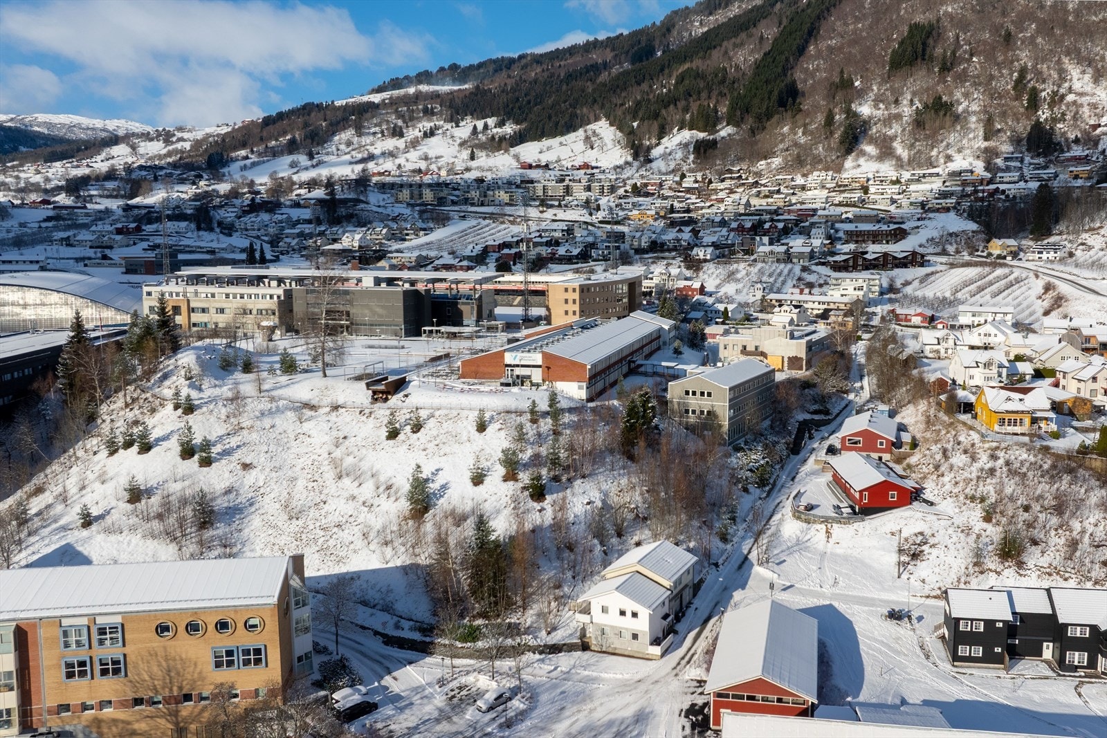 Velkommen til vising! Galleribilde