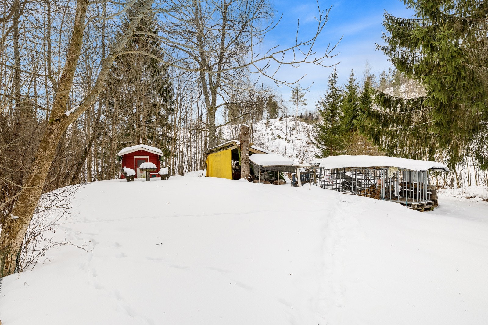 Uteområde, med dokkestue og tak som er bygget over ved og gressklipper- Galleribilde