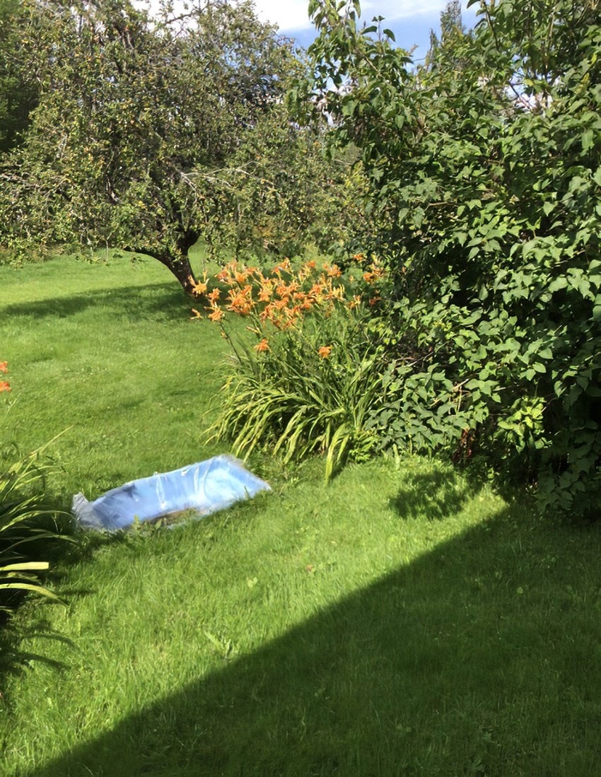 Selgers egne sommerbilder av hagen Galleribilde