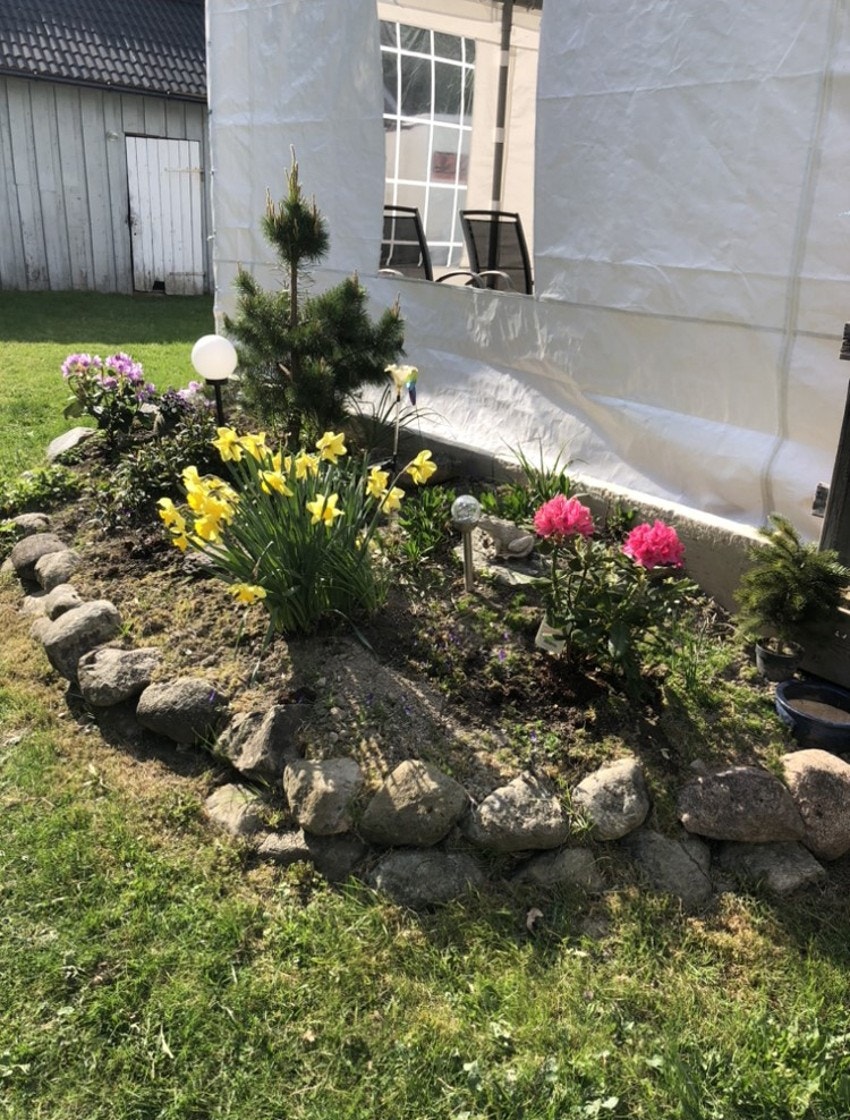 Selgers egne sommerbilder av hagen Galleribilde