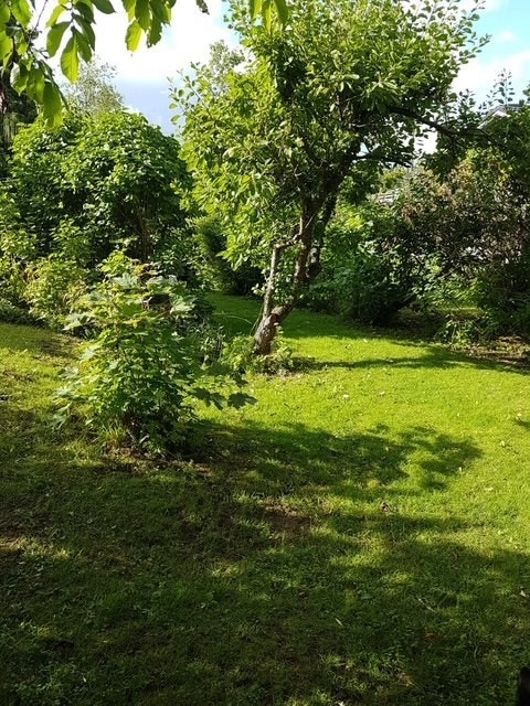 Private bilder fra selger i sommer. Galleribilde