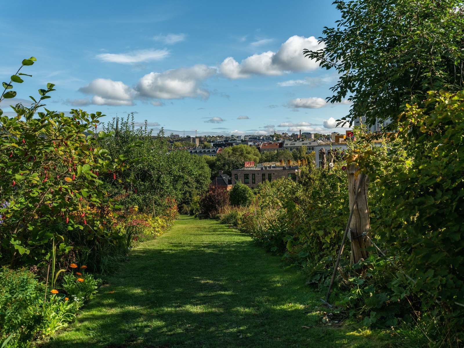 Turstier til Vulkan. Galleribilde