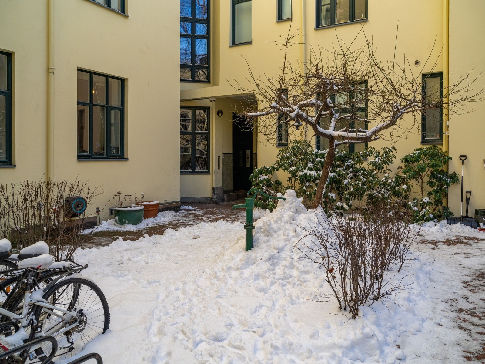 På sommerstid blir bakgården til en frisk oase hvor barna kan leke fritt. Galleribilde