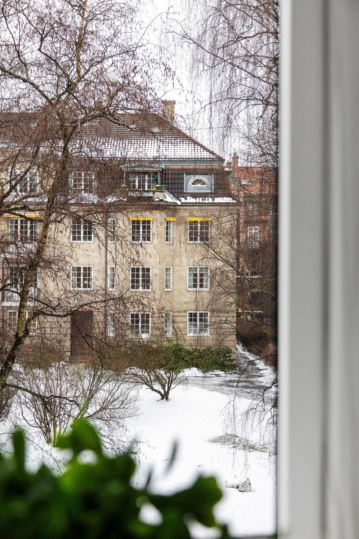 Fint utsyn fra stuen Galleribilde