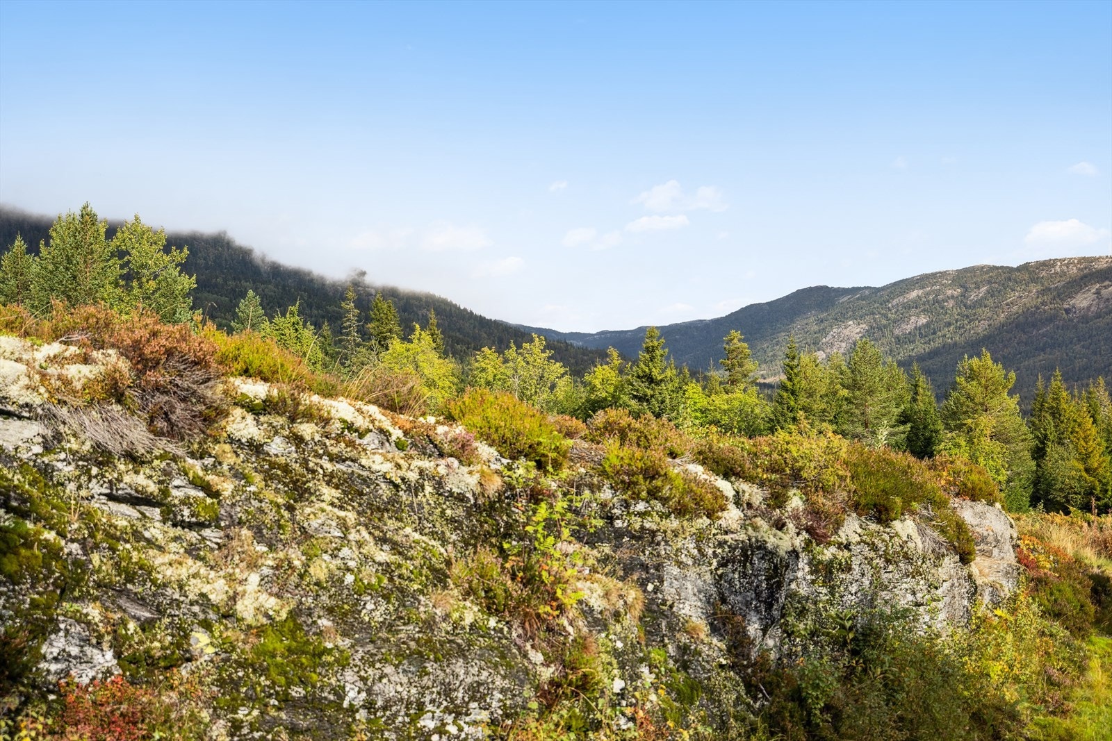 Hytta er plassert i hyggelige Almedalen hyttefelt med imponerende fjellutsikt. Galleribilde
