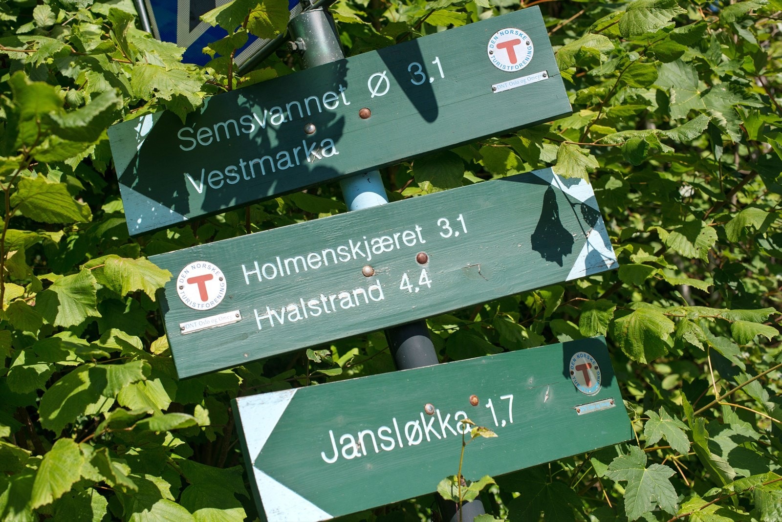 Turstiene starter ikke langt fra husveggen Galleribilde