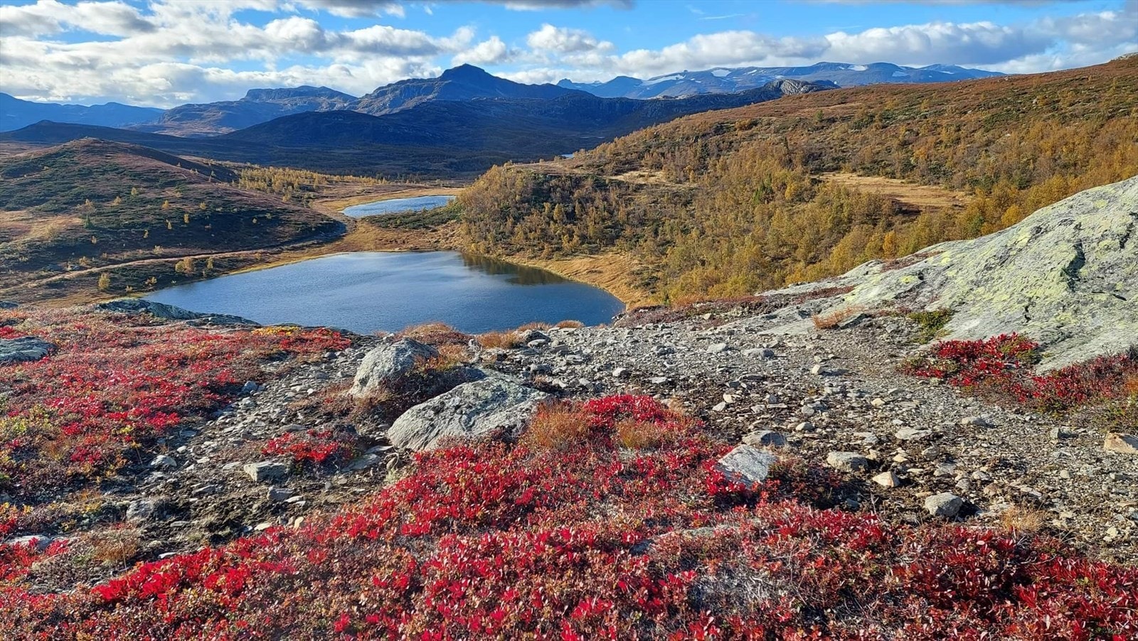 Selgers private bilde - 2021, tur på Knauserunden med utgangspunkt rett bak fritidsleiligheten. Galleribilde