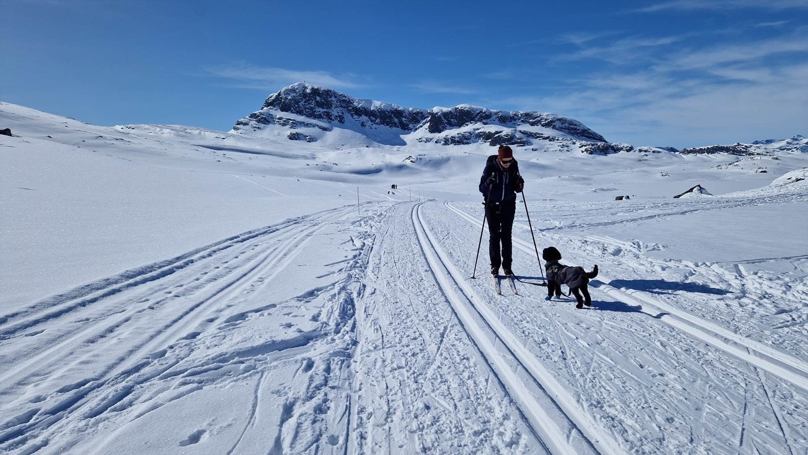 Selgers private bilde - 2022, skisporet med Bitihorn i bakgrunnen. Ca 30 min på ski fra fritidsleiligheten. Galleribilde