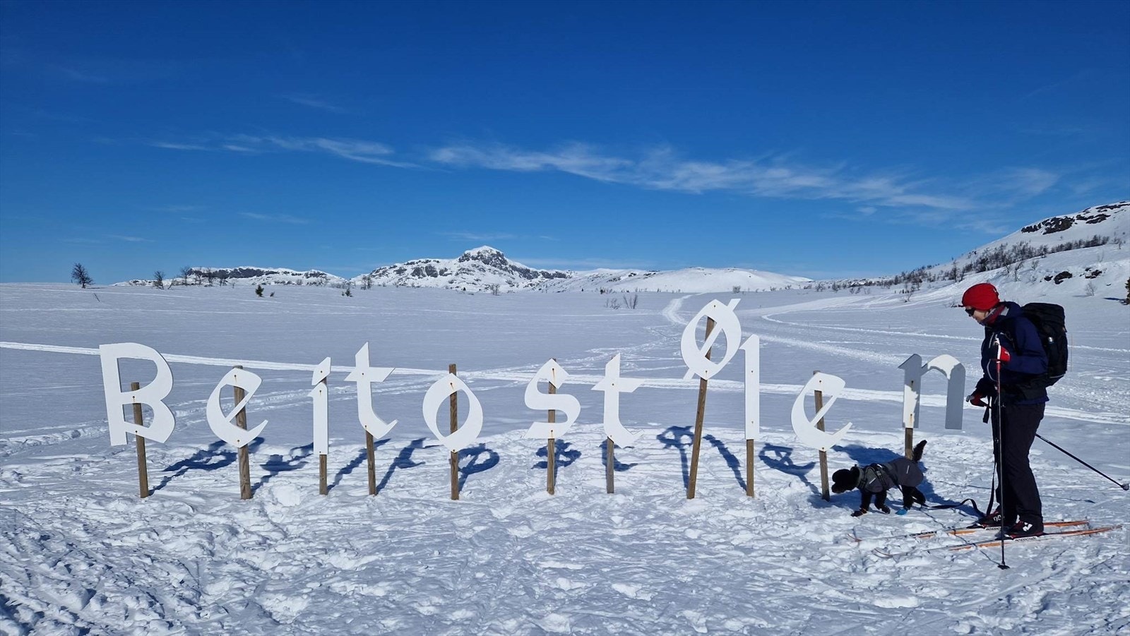 Selgers private bilde - 2022, toppen av skiheisen rett bak fritidsleiligheten Galleribilde