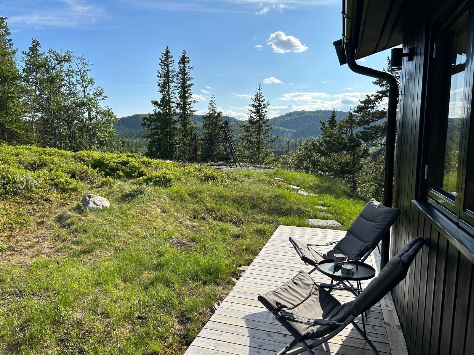 Selgers private bilde - sommer. Galleribilde