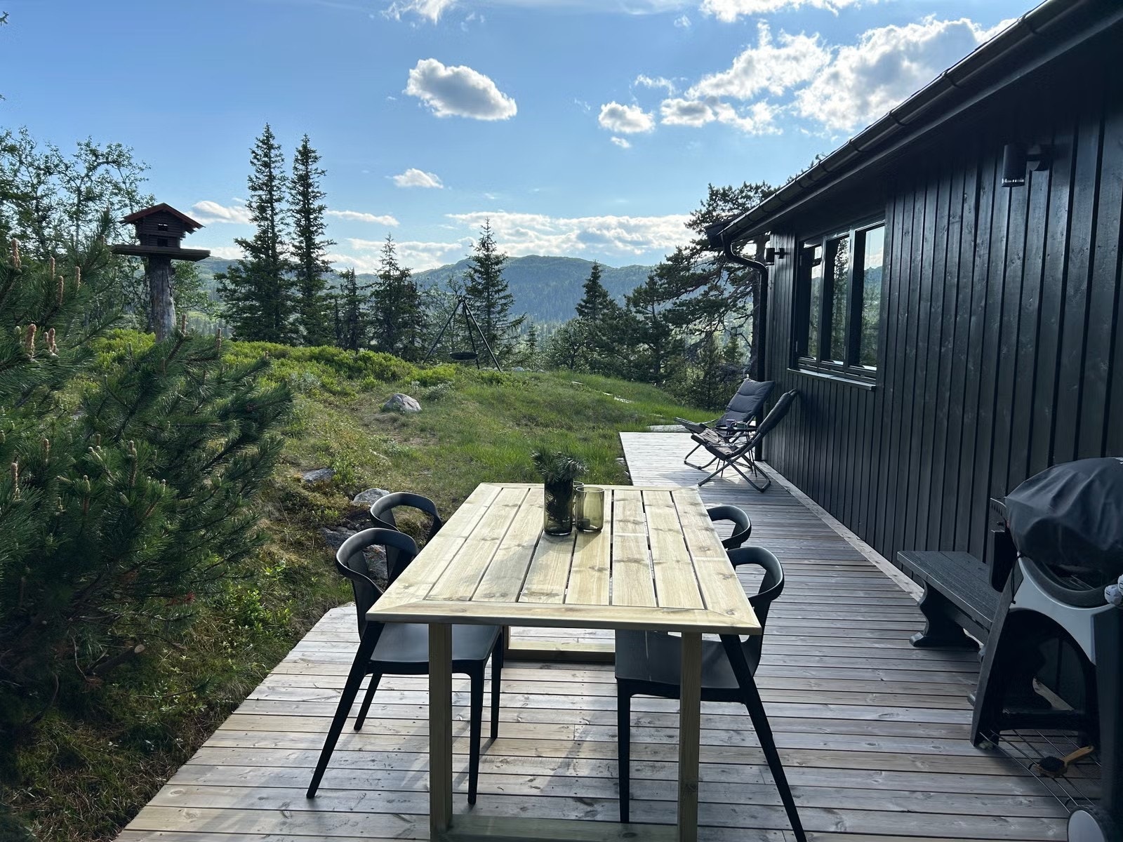 Selgers private bilde - sommer. Galleribilde