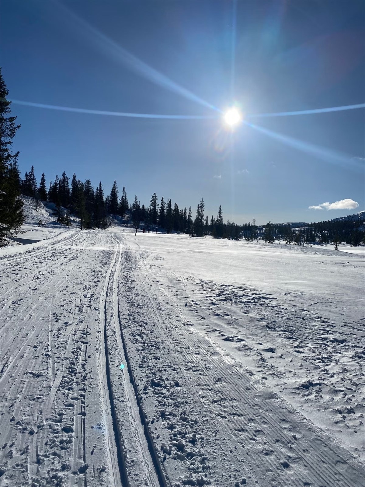 Selgers private bilde. Skiløyper i nærområdet. Galleribilde