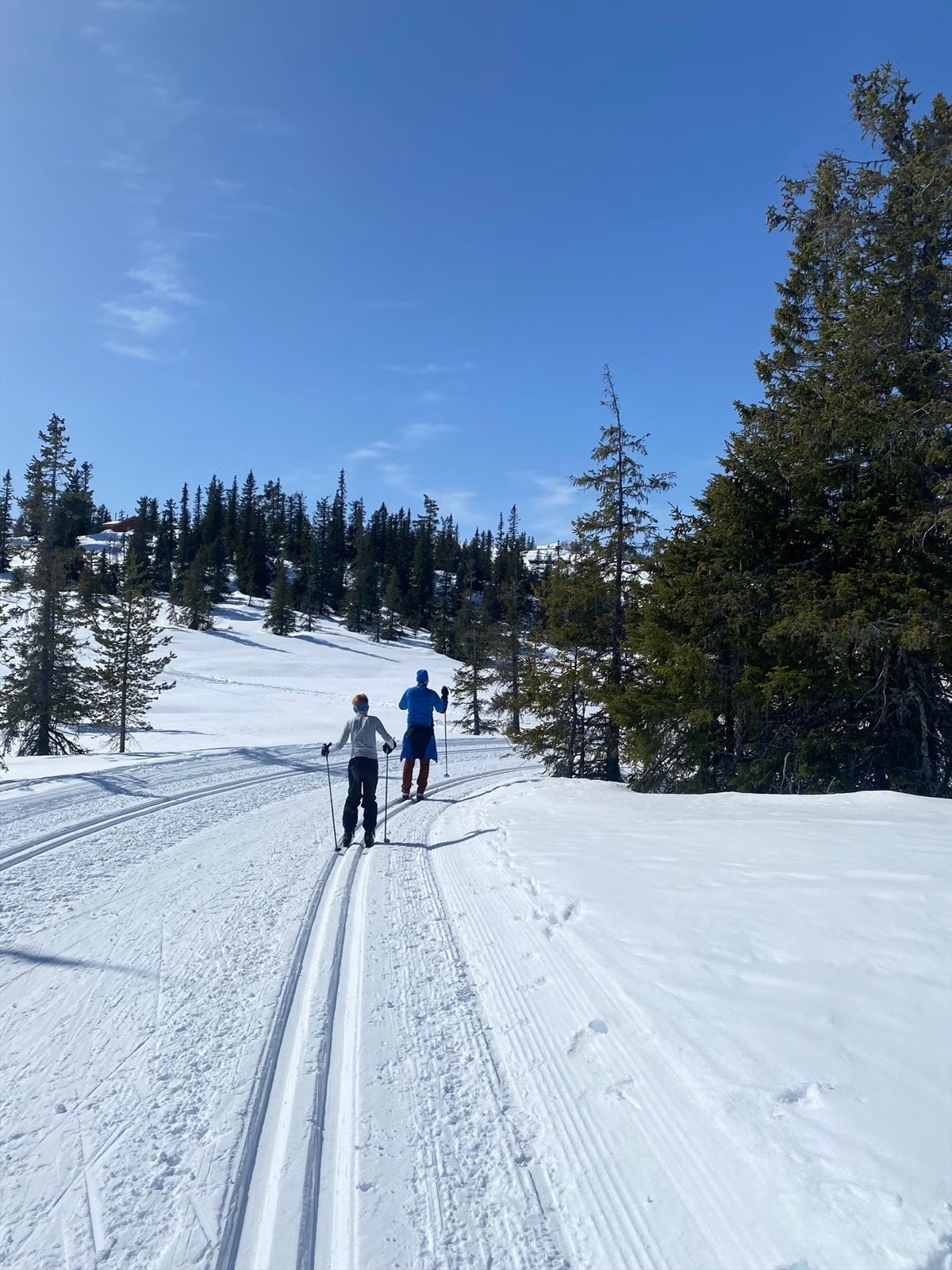 Selgers private bilde. Skiløyper i nærområdet. Galleribilde