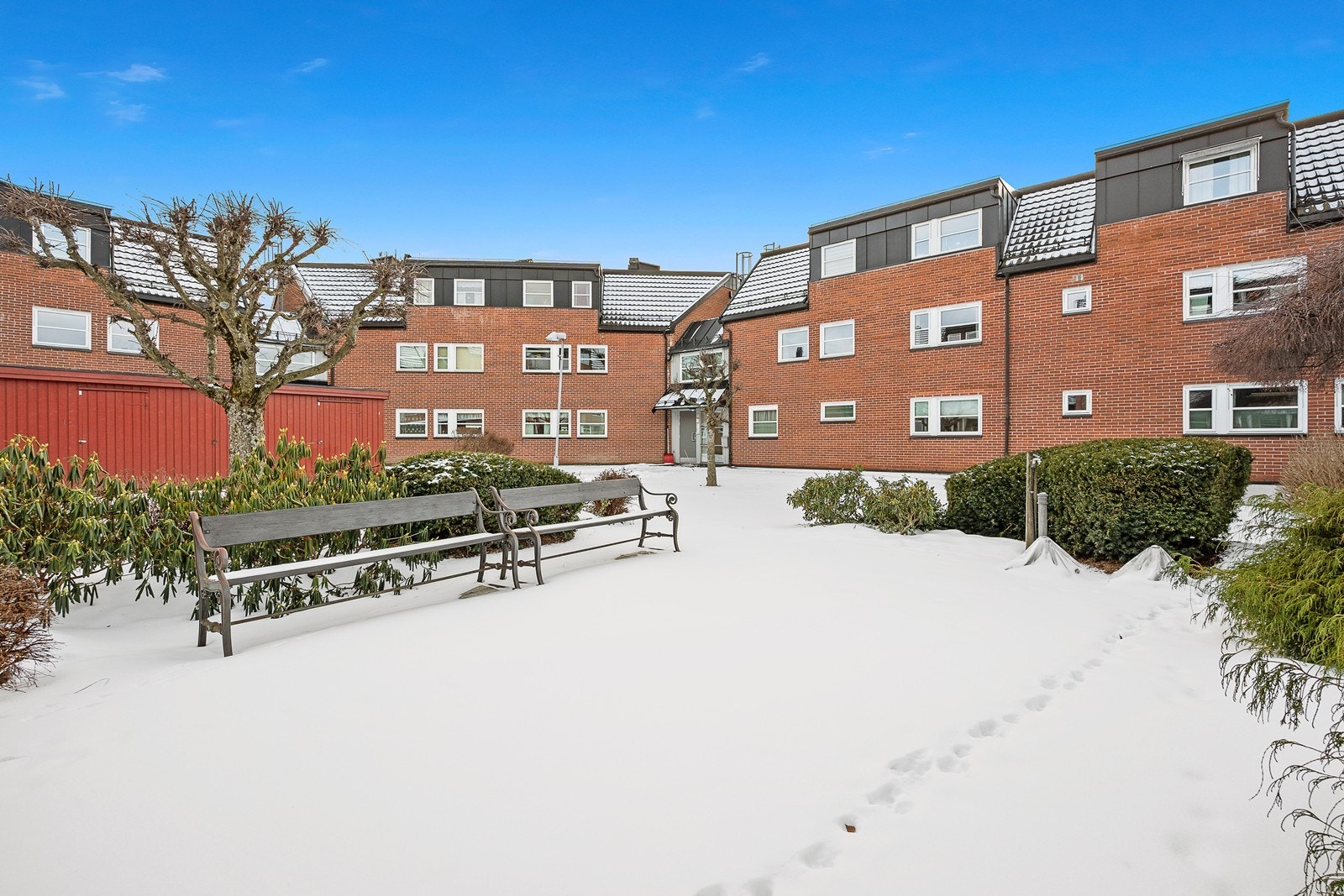 Trivelig fellesområde med benker og busker og trær. Galleribilde