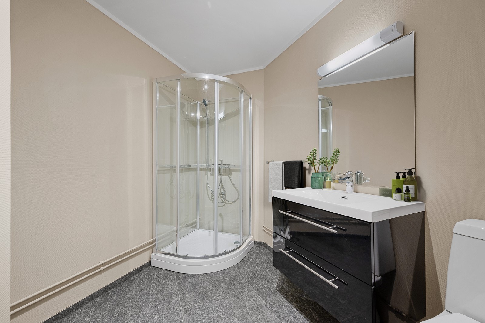 Bad med dusjkabinett, toalett og innredning med servant og speil. Galleribilde