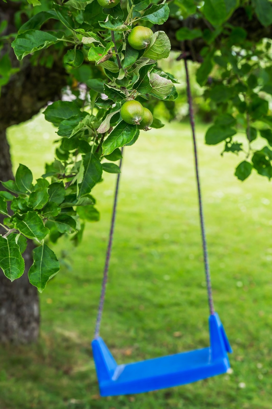 Hage for store og små Galleribilde