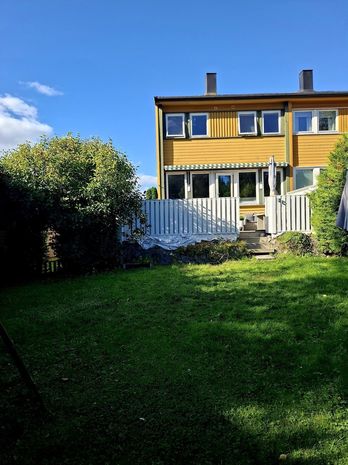 Sommerbilde av hagen (privat bilde) Galleribilde