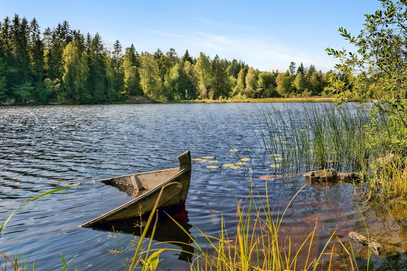 Gangavstand til Tangetjern som er hyggelig badeplass på sommeren Galleribilde