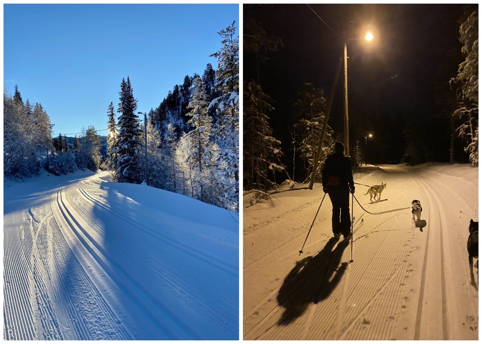 Rett over veien for eiendommen ligger det lysløype hvor kjøres skispor som har forgreininger til det øvrige løypenettet i fjellet. Galleribilde