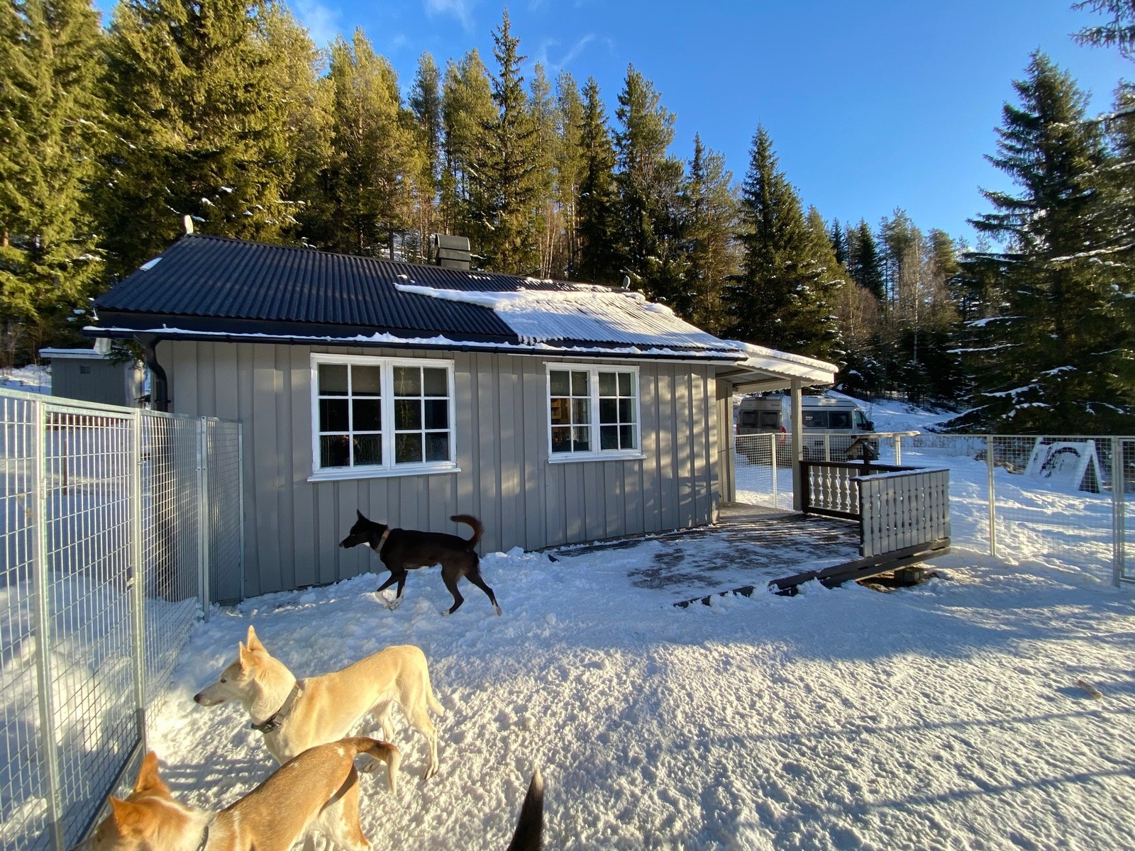 Det er satt opp en hundegård på nedsiden av hytta som følger hytta. Galleribilde