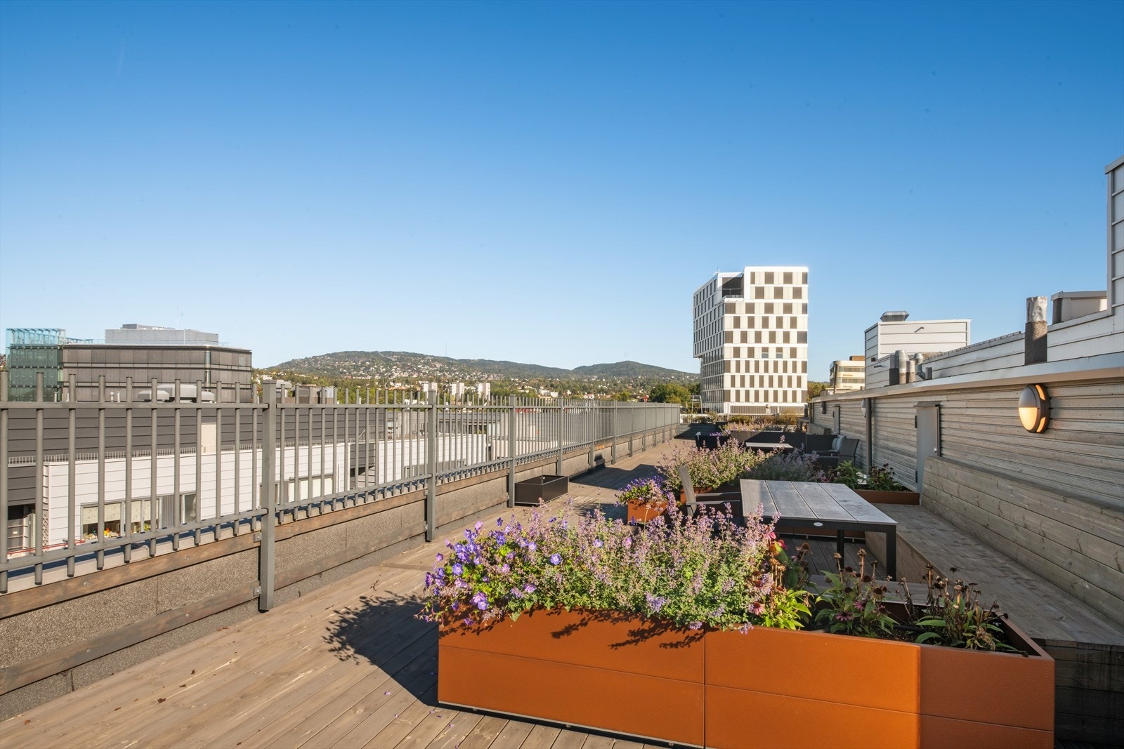 To felles takterrasser som er pent opparbeidet med blomsterkasser, sittegrupper m.m. Galleribilde