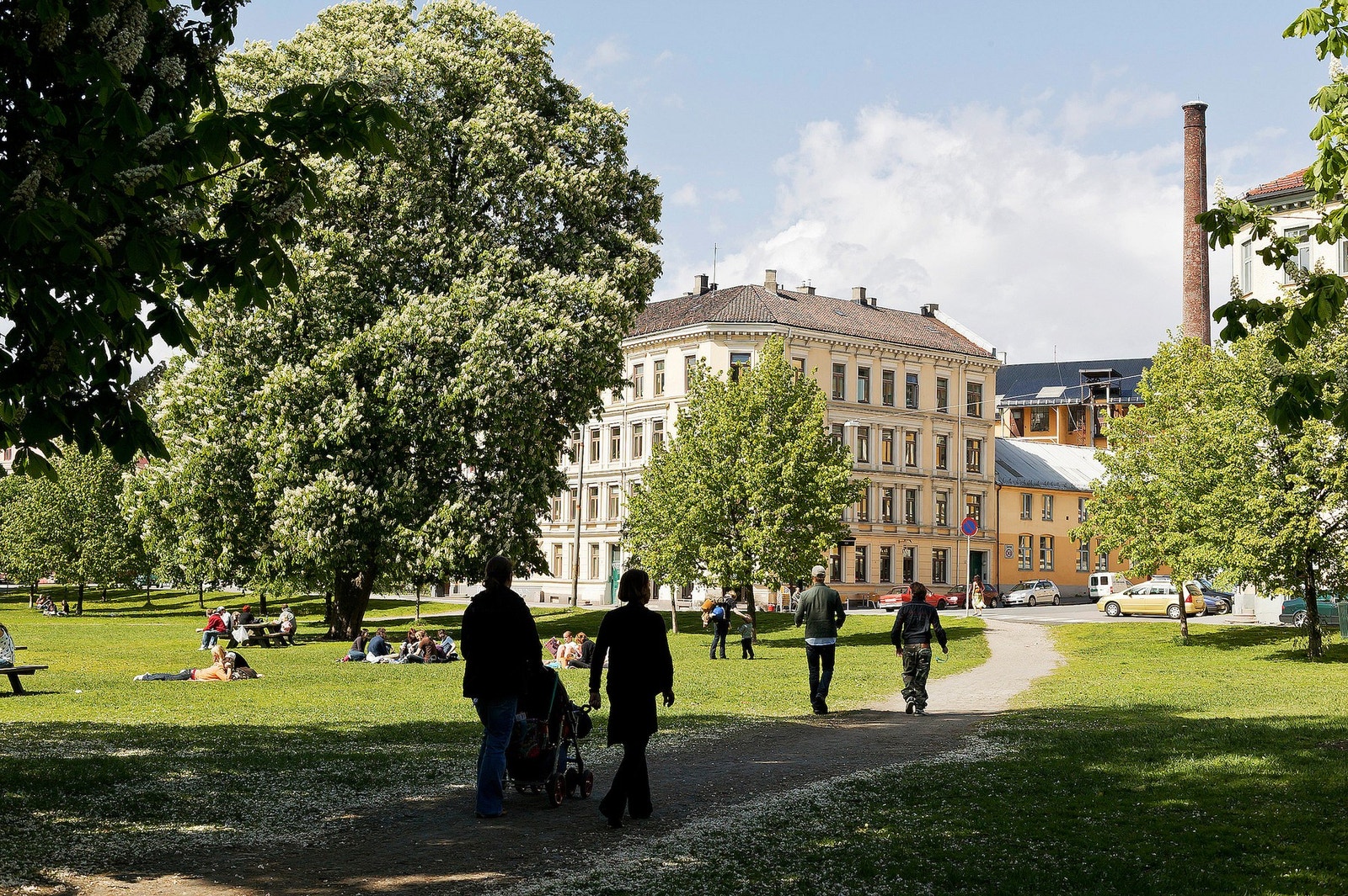 Med Sofienbergparken som nærmeste nabo får du grønne omgivelser rett utenfor døren, en forlengelse av boligen som nesten føles som din egen hage. Galleribilde
