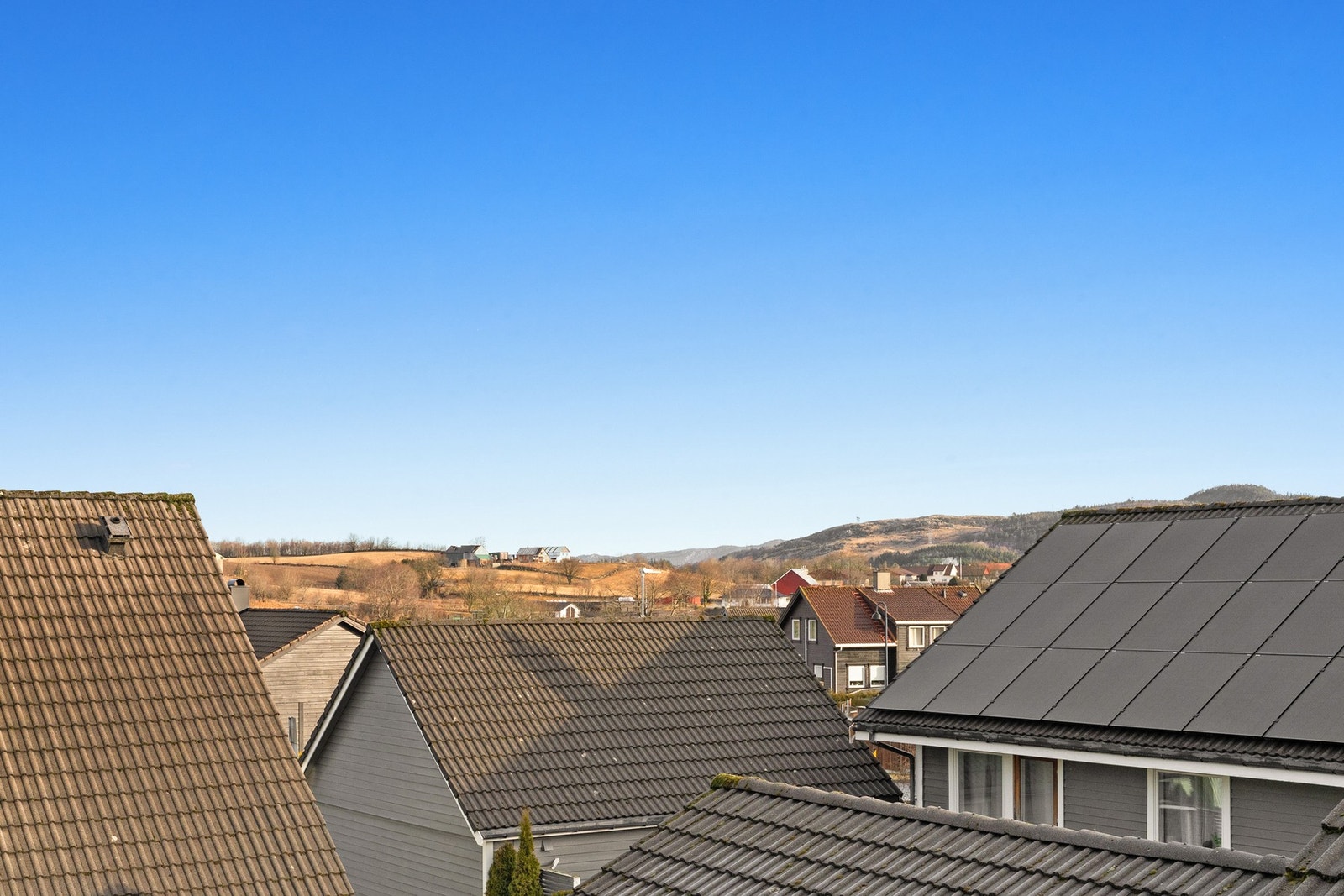 Utsiktsbilde. Galleribilde