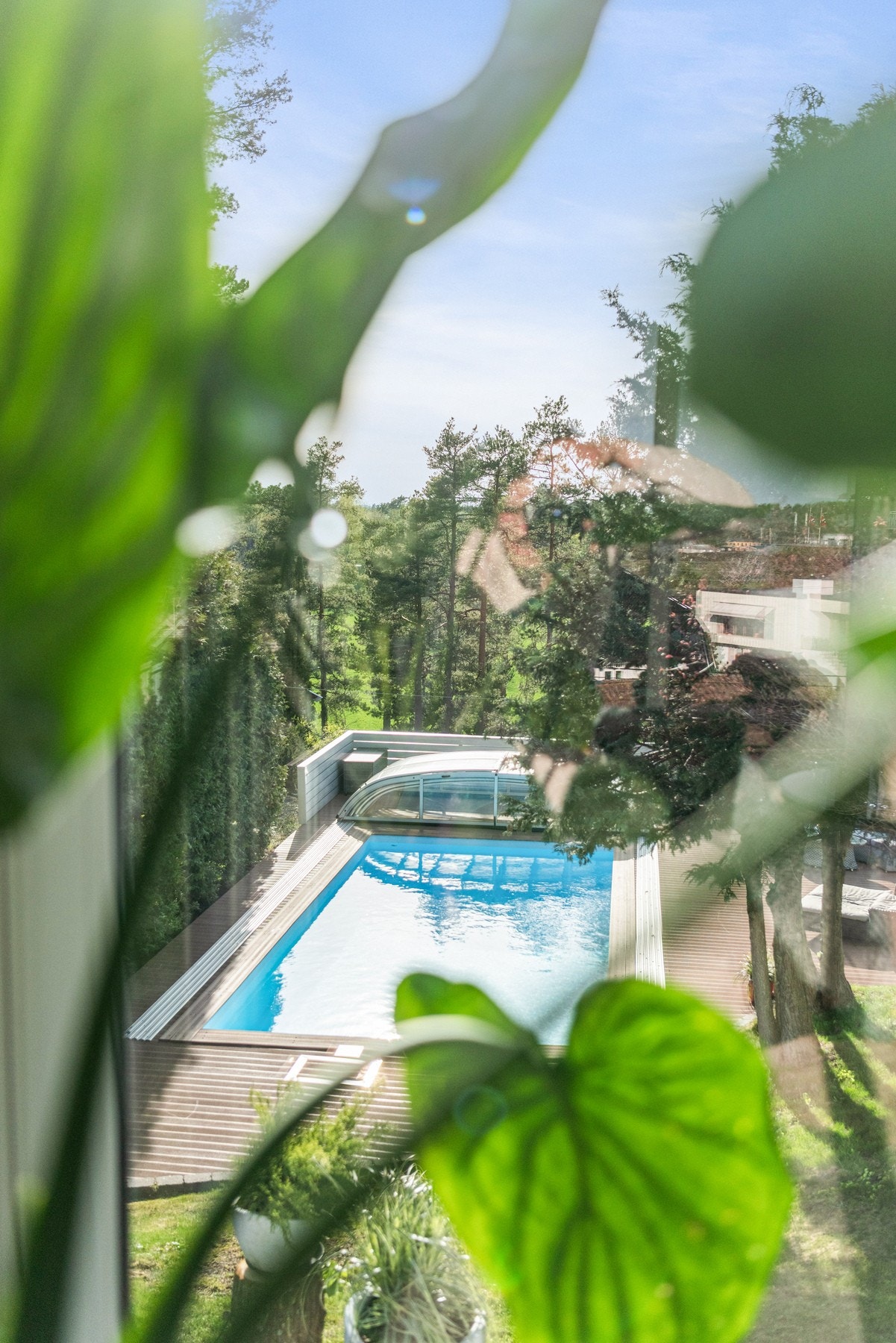 Nydelig utsikt fra sommerstuen ned mot bassengområdet Galleribilde