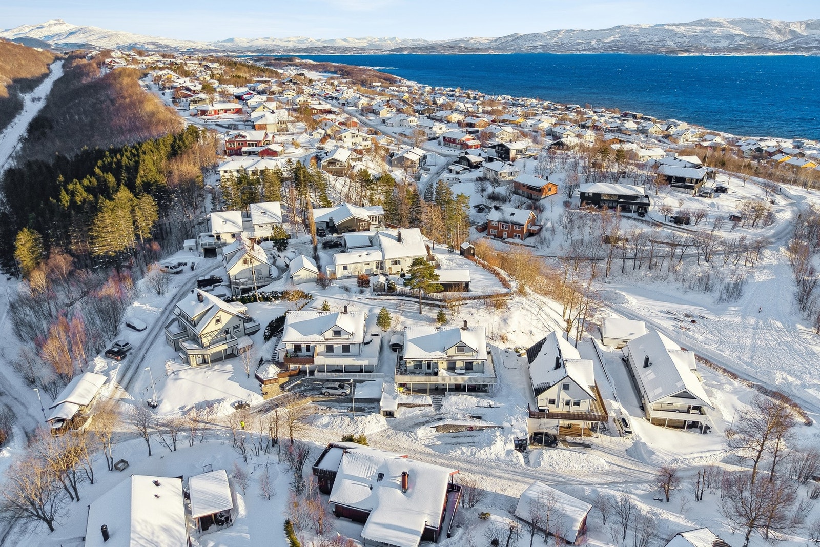 Dersom oppsatt visning ikke passer, ta kontakt for å avtale privatvisning. Galleribilde