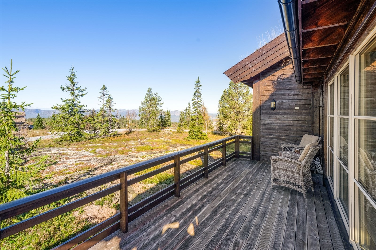 Rundt hytta er det flatt terreng med naturlig vegetasjon. Galleribilde