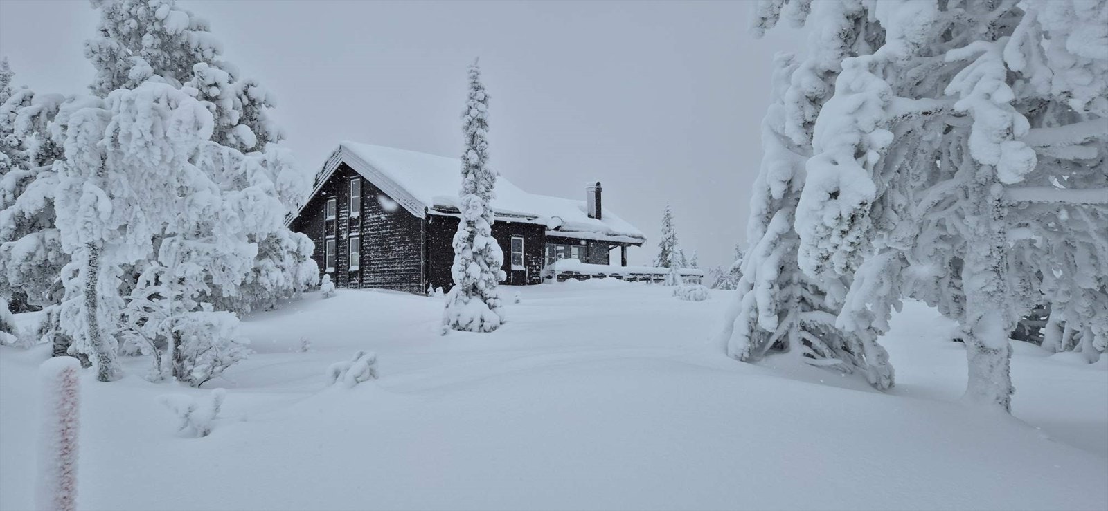 Med skiløyper rett i nærheten kan man spenne på seg skiene ved hytteveggen, og det er heller ikke langt til skitrekket. -Selgers private bilde- Galleribilde