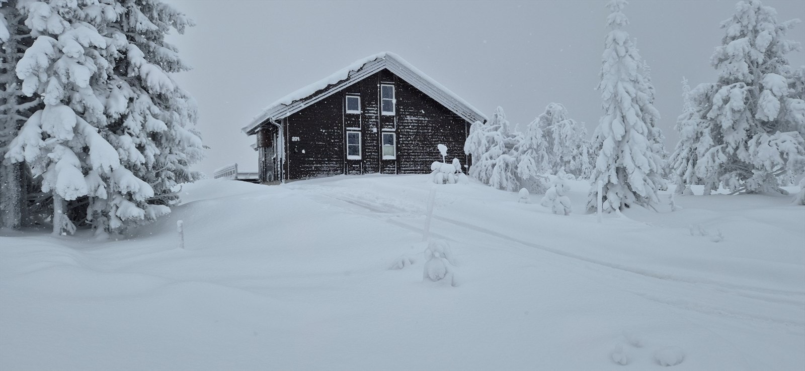 Gode parkeringsmuligheter på egen tomt. -Selgers private bilde- Galleribilde