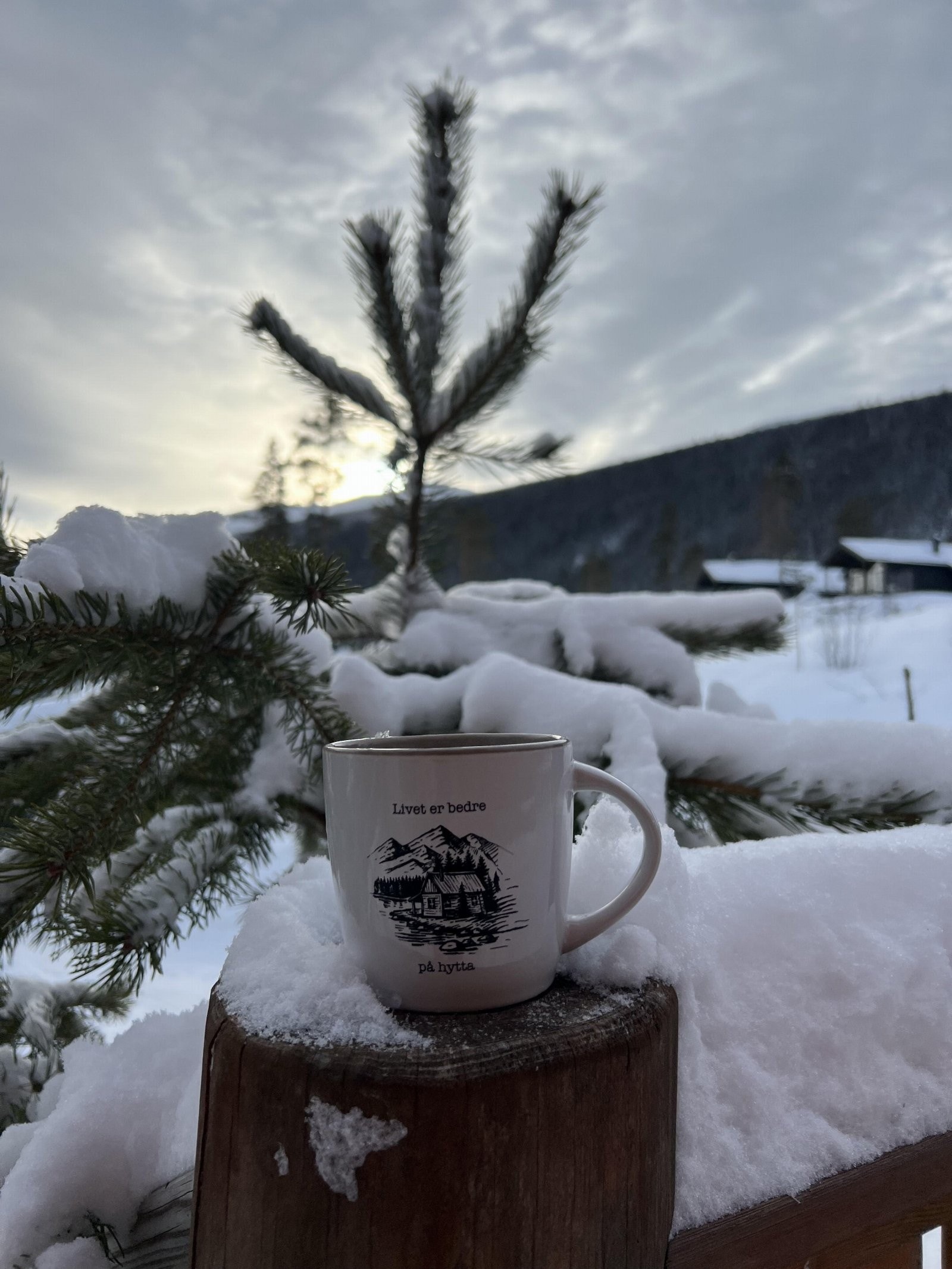 Kort kjøretur (8 minutter) til Vasstulan Fjellkafé (1100 moh), hvor det servering hele året Galleribilde