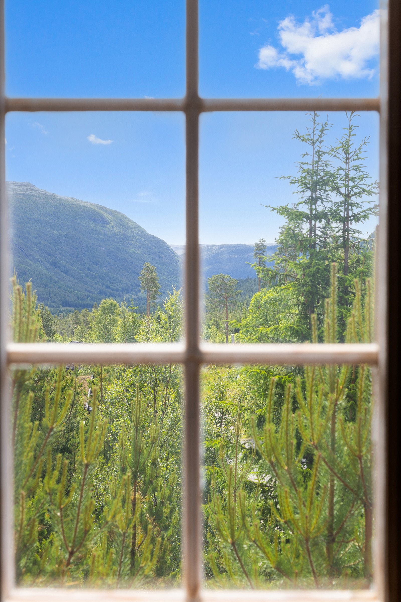 Fint utsikt til fjellområdene omkring Galleribilde