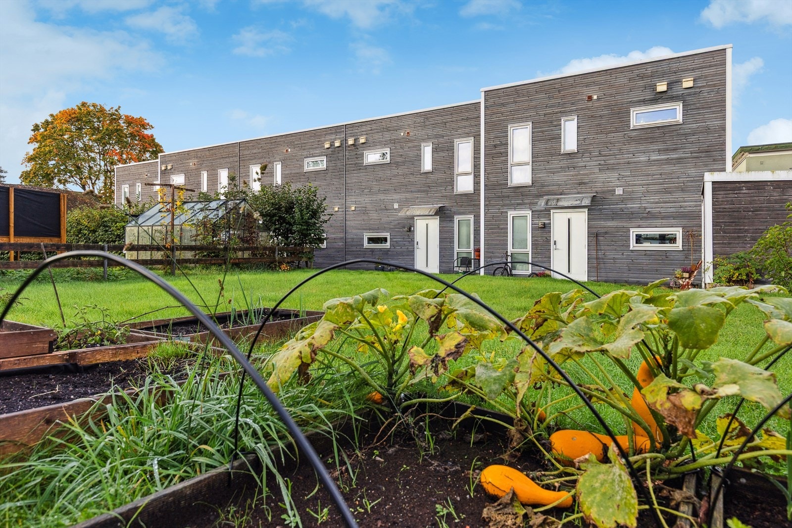 Fellesarealer ved inngangspartiet. Galleribilde