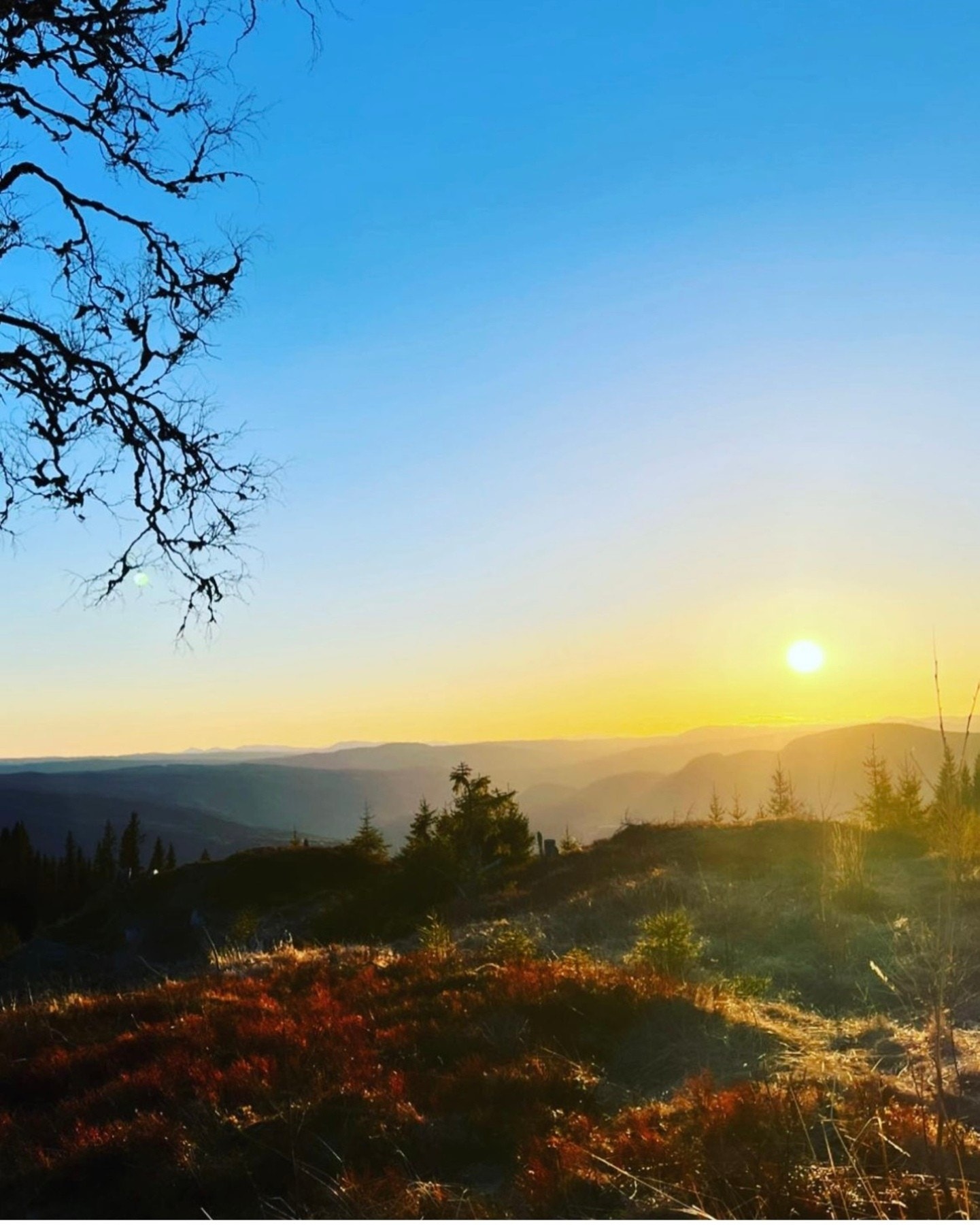 Solnedgang på nordvestsiden av hyttefeltet. Galleribilde