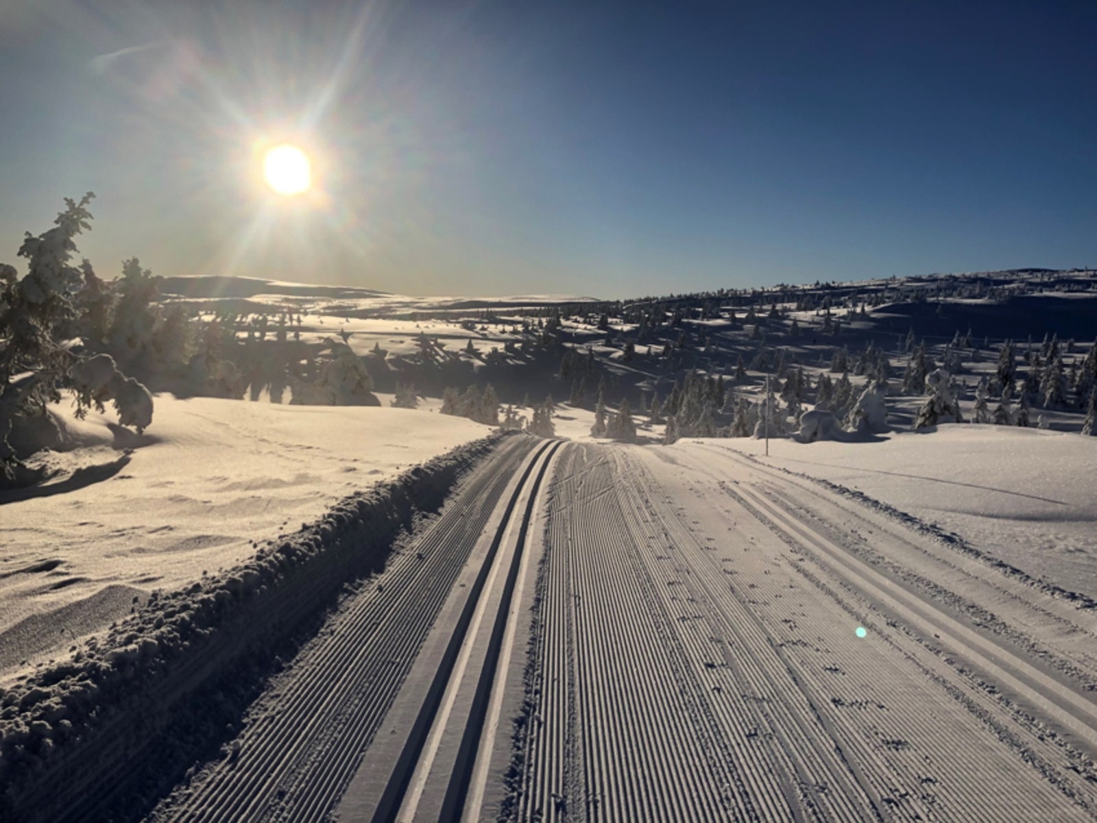 Milevis med preparerte langrennsløyper vinterstid. Løypenettet går både nord-, øst- og sydover. Løypene nordover fremheves som unike, ettersom det både er skogsterreng og fjell med vesentlig mindre pågang enn i andre deler av Hafjell. Galleribilde