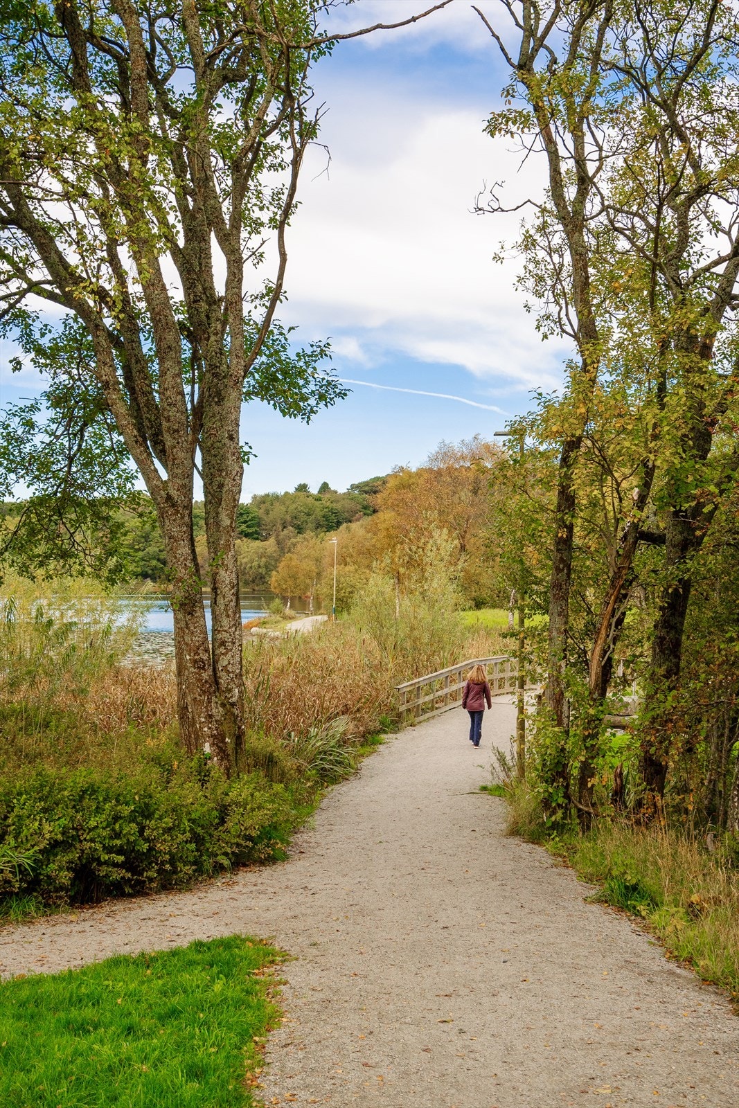 Populære Stokkavannet like ved. Galleribilde