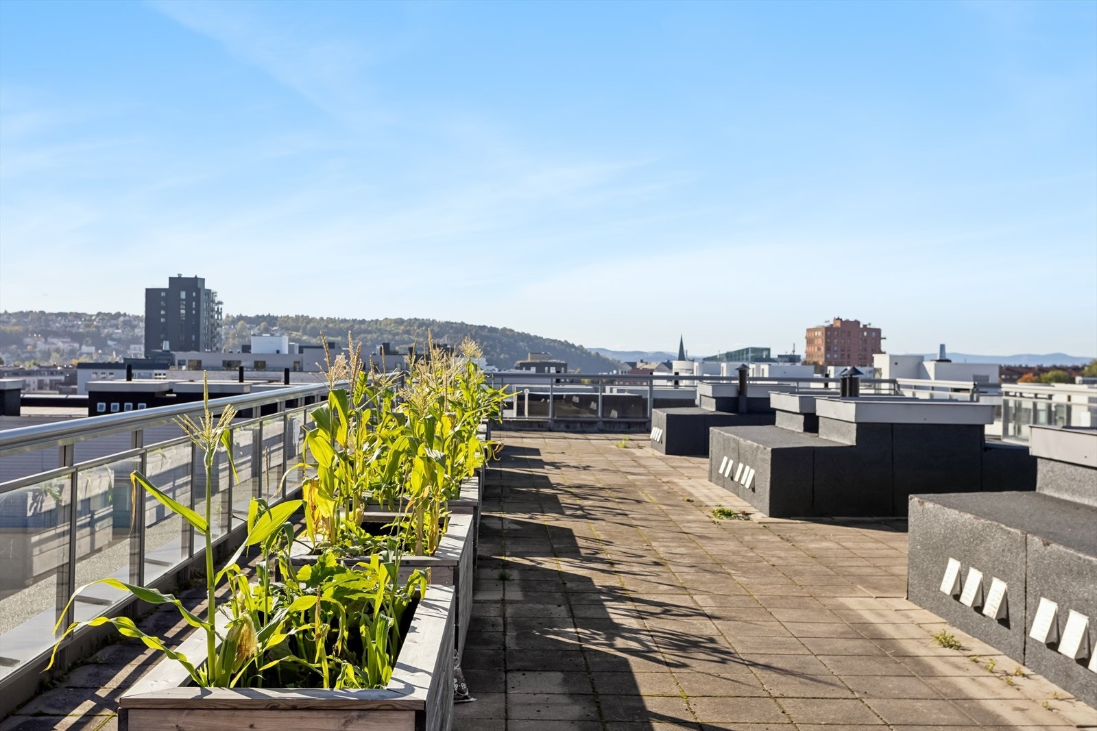 Her nyter man solen dagen lang på sommeren. Galleribilde