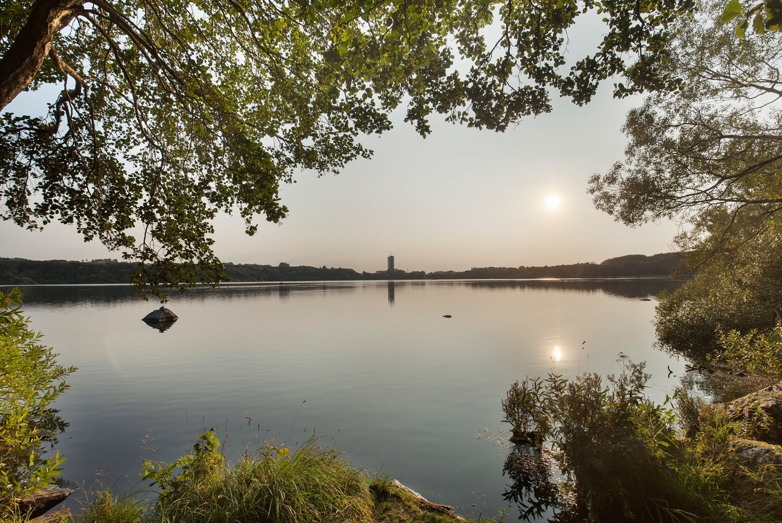 Nærområde Galleribilde