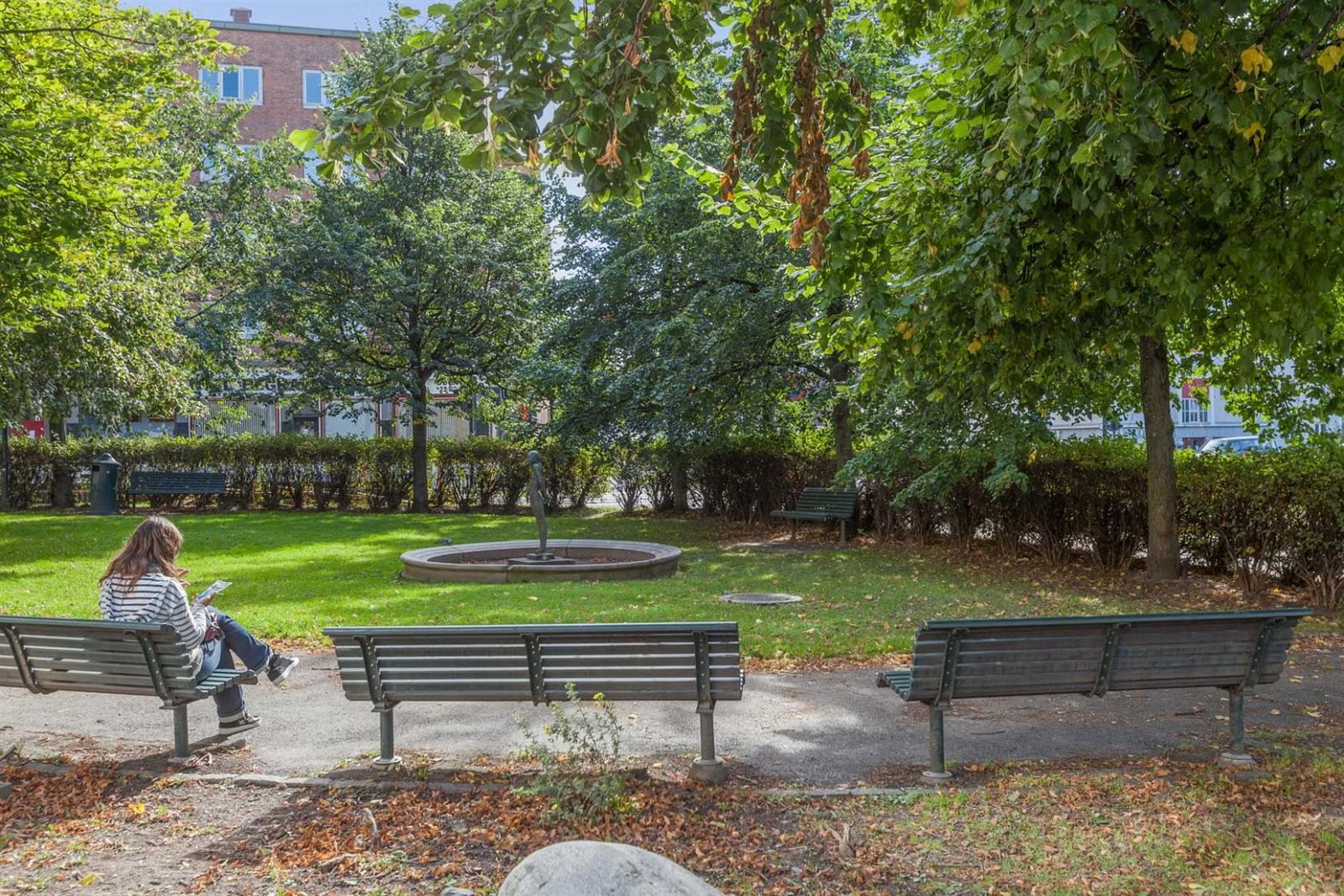 Hyggelig minipark rett utenfor Galleribilde