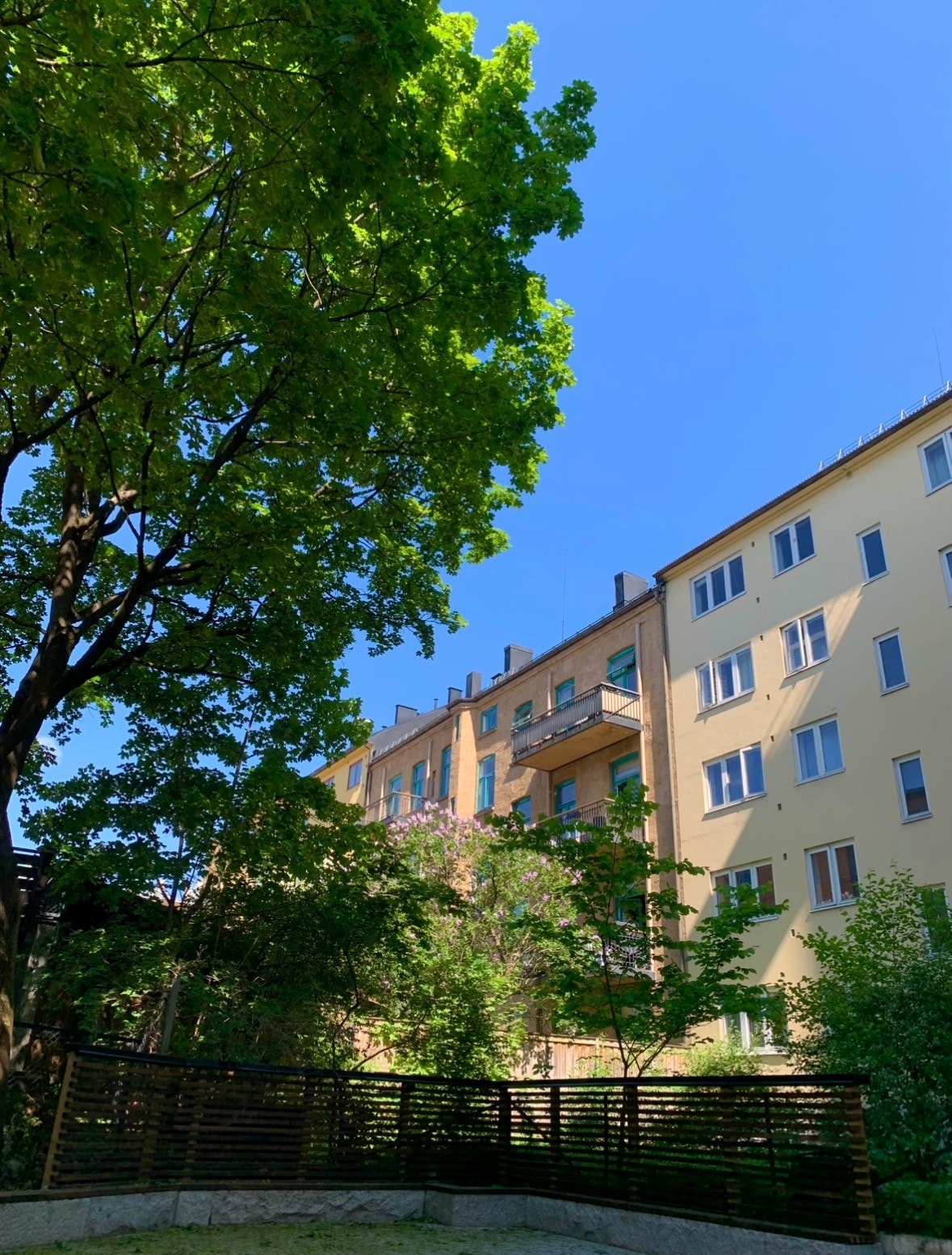 Selgers egne bilder fra sommertid, hvor man får et litt bedre inntrykk av den frodige bakgården Galleribilde