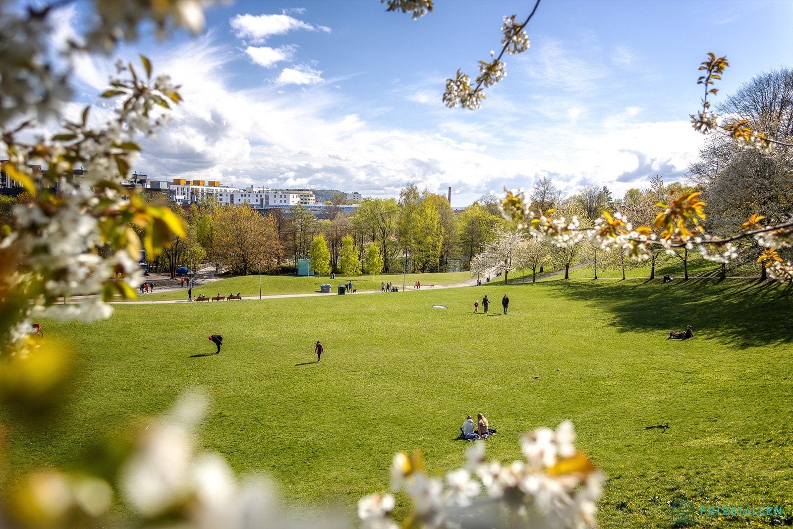 Leiligheten har kort adkomst til grønne omgivelser og turområder, her sees Myraløkka. Galleribilde