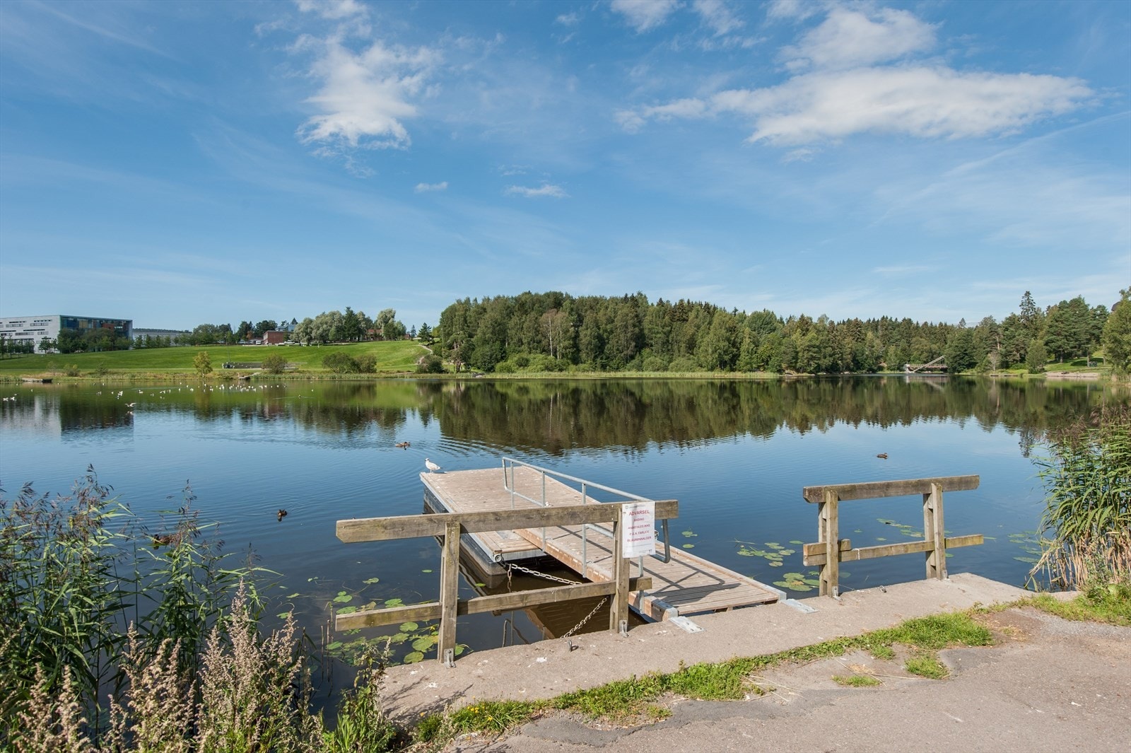 Flotte turområder rundt Langvannet, her med Mailand vgs og rådhusparken i bakgrunnen. Galleribilde