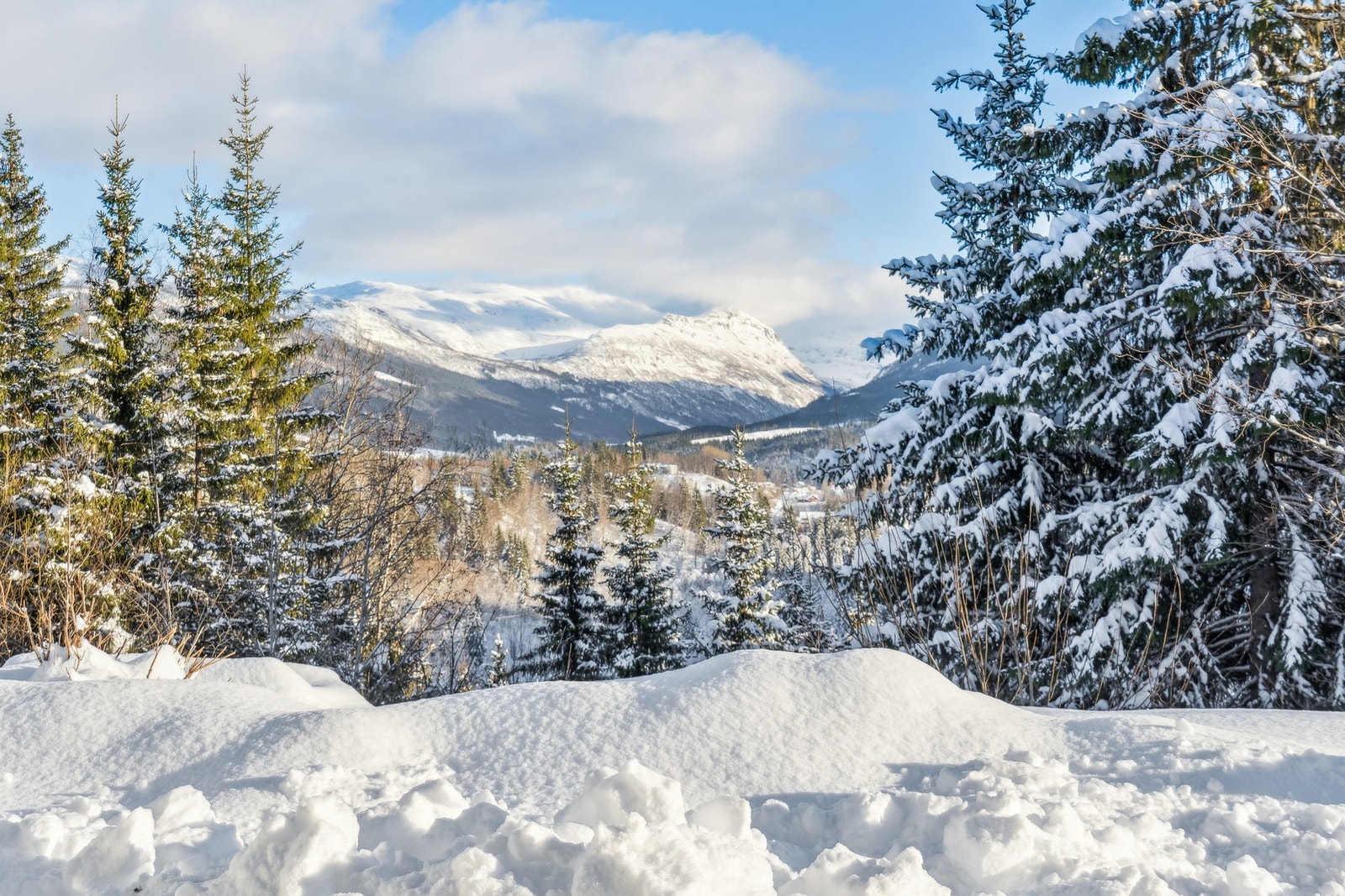 Flott utsikt utover fjellene og området Galleribilde