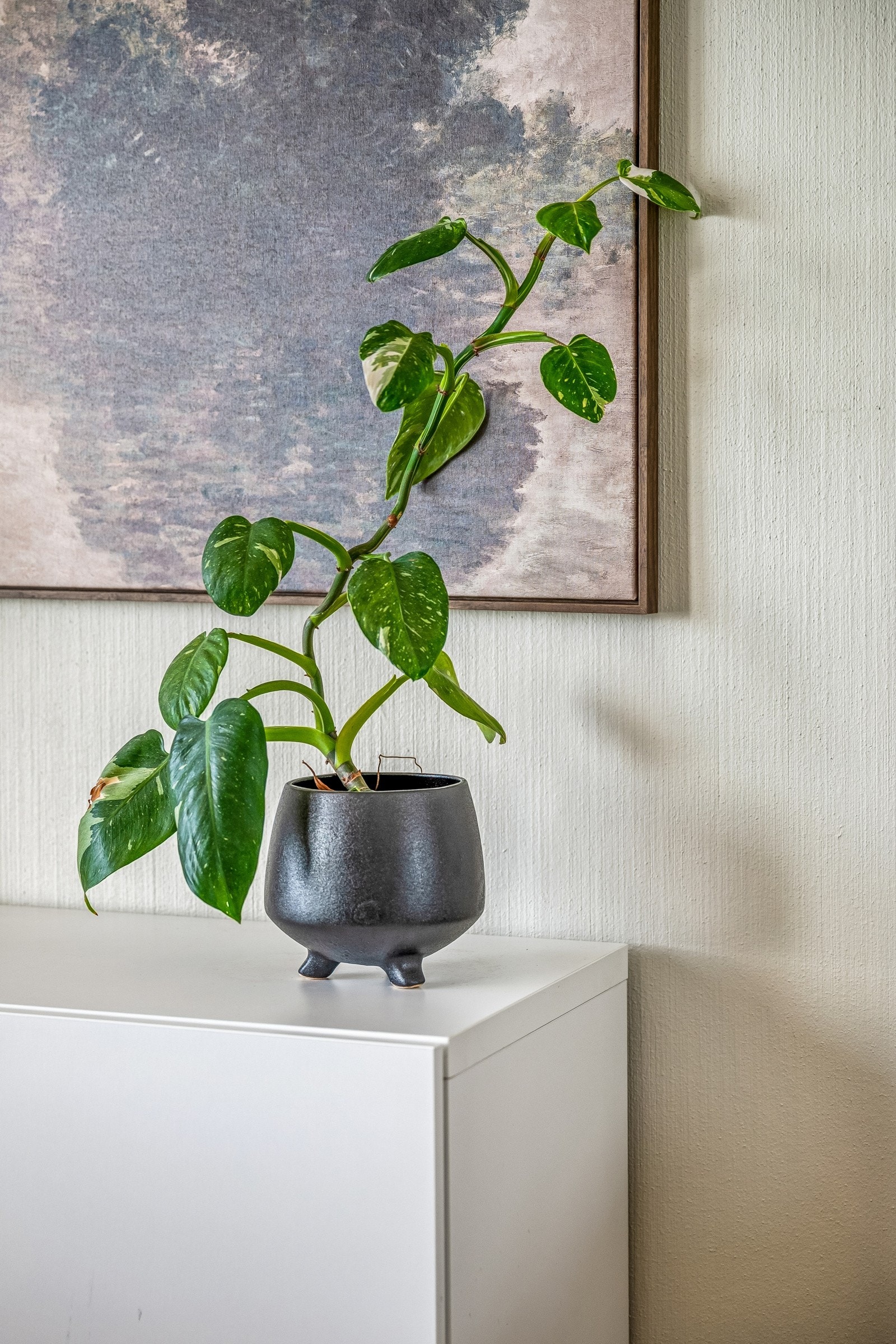 Sander Aaen - Brørby eiendomsmegling Galleribilde